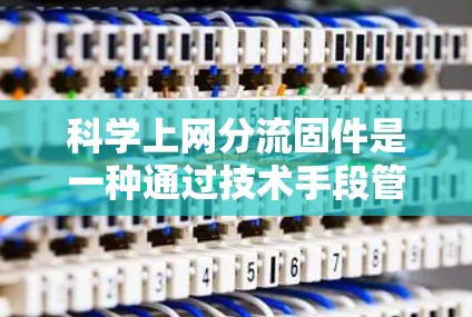科学上网分流固件是一种通过技术手段管理网络流量的工具，旨在动态分配网络资源以保护高使用频率的用户和优化资源利用效率。以下是其关键点的总结
