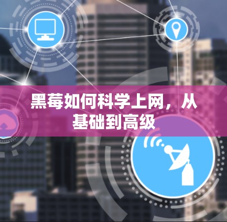 黑莓如何科学上网，从基础到高级
