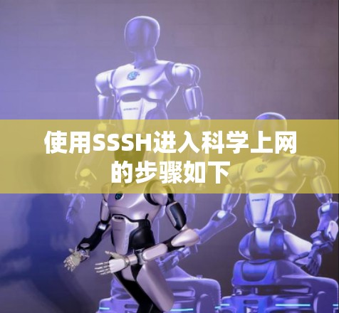 使用SSSH进入科学上网的步骤如下