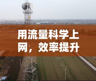 用流量科学上网,效率提升与用户体验优化 用流量科学上网,效率提升与用户体验优化