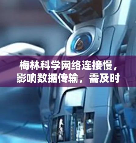梅林科学网络连接慢,影响数据传输,需及时调整 梅林科学网络连接慢,影响数据传输,需及时调整
