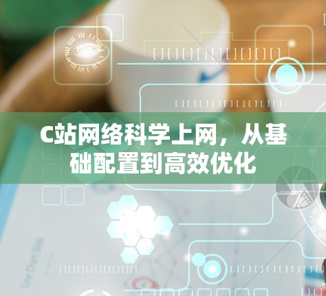 C站网络科学上网，从基础配置到高效优化