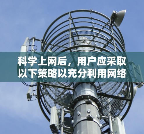 科学上网后，用户应采取以下策略以充分利用网络资源，提升学术能力，并保持健康的活动节奏