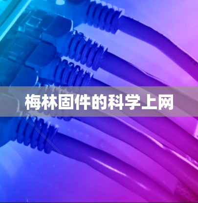 梅林固件的科学上网