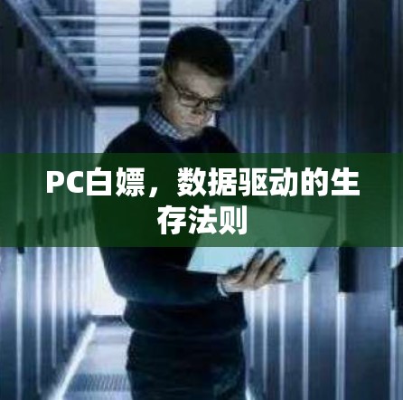 PC白嫖，数据驱动的生存法则