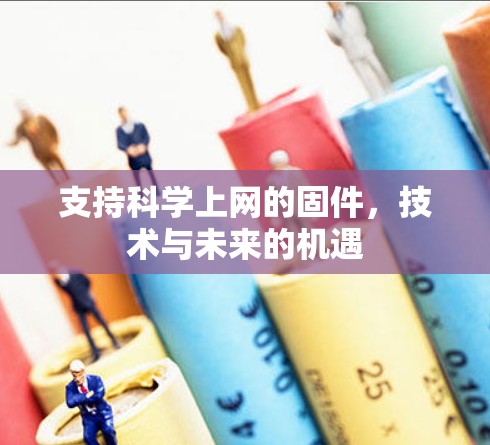 支持科学上网的固件，技术与未来的机遇