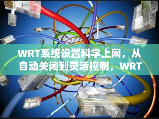 WRT系统设置科学上网，从自动关闭到灵活控制，WRT让你的网络连接更高效