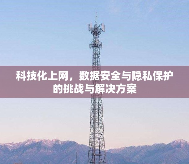 科技化上网，数据安全与隐私保护的挑战与解决方案