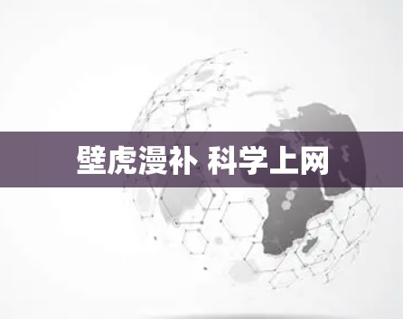 壁虎漫补 科学上网