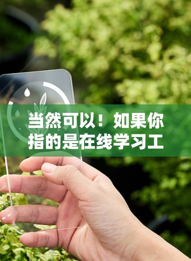 当然可以！如果你指的是在线学习工具或资源，比如