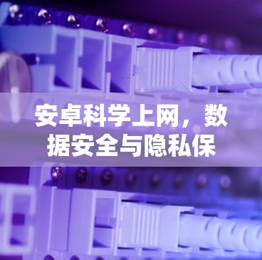 安卓科学上网，数据安全与隐私保护的高效解决方案