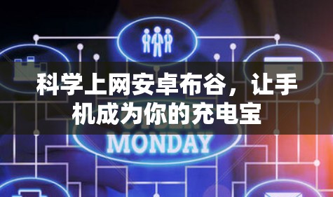 科学上网安卓布谷，让手机成为你的充电宝