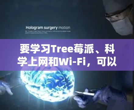 要学习Tree莓派、科学上网和Wi-Fi，可以按照以下步骤进行