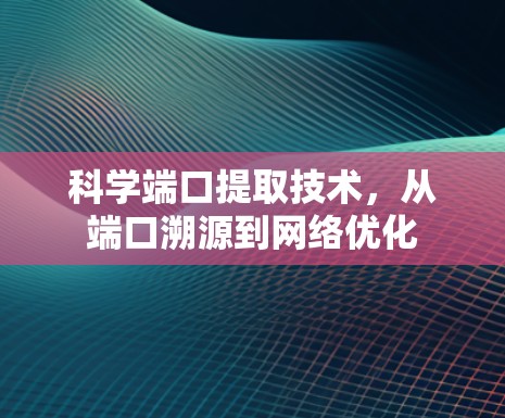科学端口提取技术，从端口溯源到网络优化