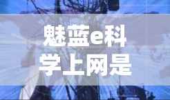 魅蓝e科学上网是一个与电子产品相关的品牌，主要提供手机和电脑等设备的科学上网服务。以下是对该产品的详细分析
