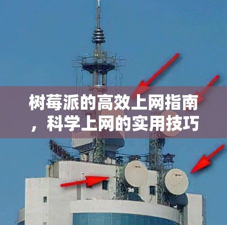 树莓派的高效上网指南，科学上网的实用技巧