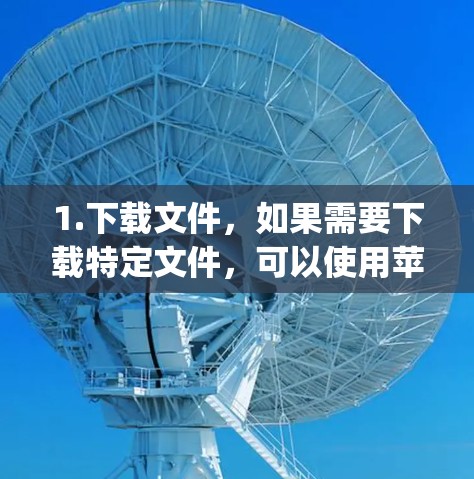 1.下载文件，如果需要下载特定文件，可以使用苹果的云存储服务，如Dropbox或Google Drive，访问互联网，然后直接下载到云端