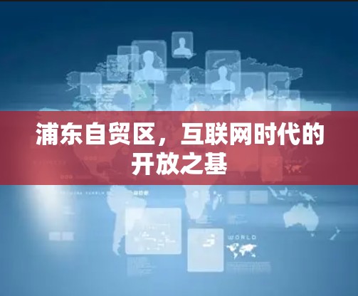 浦东自贸区，互联网时代的开放之基