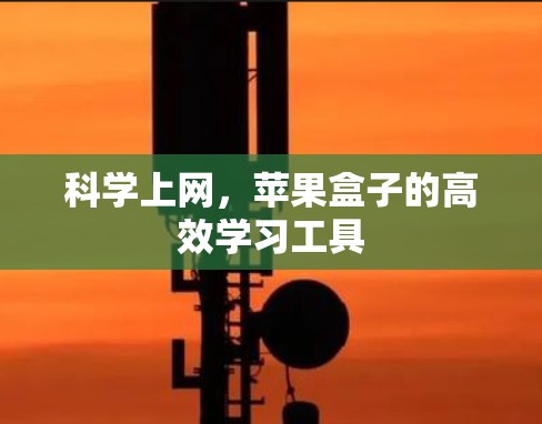 科学上网，苹果盒子的高效学习工具