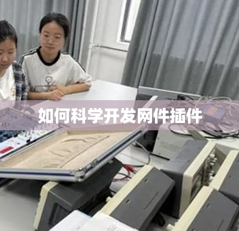 如何科学开发网件插件