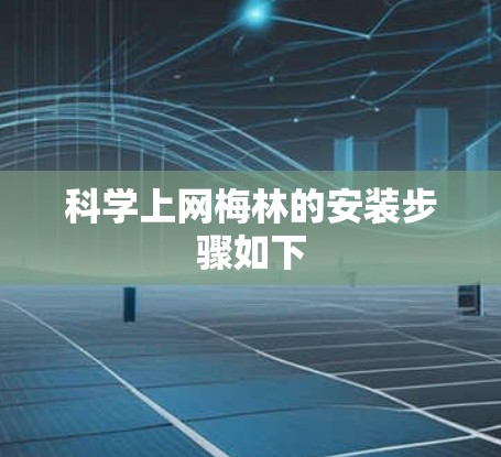 科学上网梅林的安装步骤如下