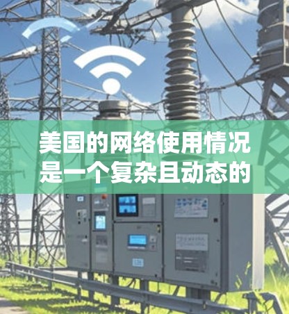 美国的网络使用情况是一个复杂且动态的系统，涉及教育、研究、科技等多个领域。以下是一些关于美国网络使用的主要信息和情况