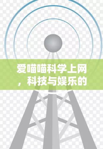 爱喵喵科学上网，科技与娱乐的奇妙结合