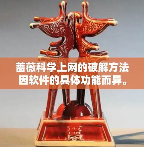蔷薇科学上网的破解方法因软件的具体功能而异。以下是一般性的步骤建议