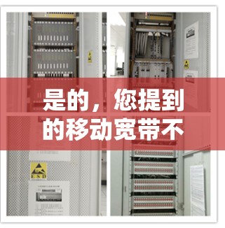 是的，您提到的移动宽带不能科学上网可能是因为您对移动宽带的一些功能或使用体验感到不满。移动宽带虽然提供了多种功能，但并非每一项功能都适合所有用户。以下是一些可能的原因和建议