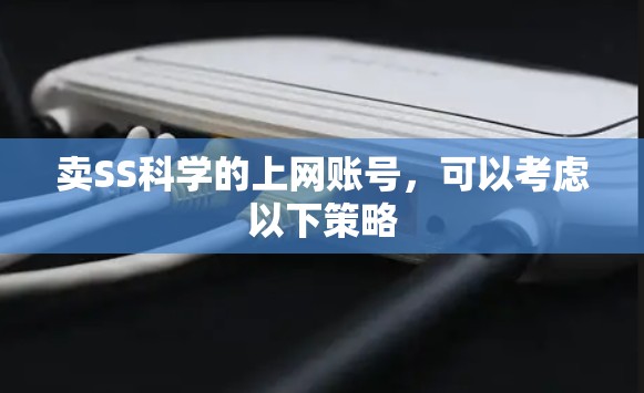 卖SS科学的上网账号，可以考虑以下策略