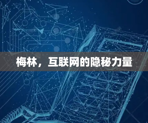 梅林，互联网的隐秘力量