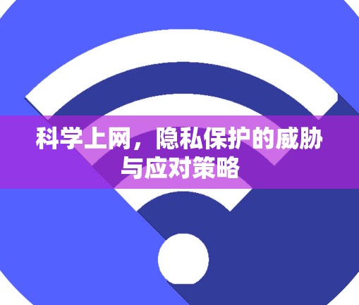 科学上网，隐私保护的威胁与应对策略