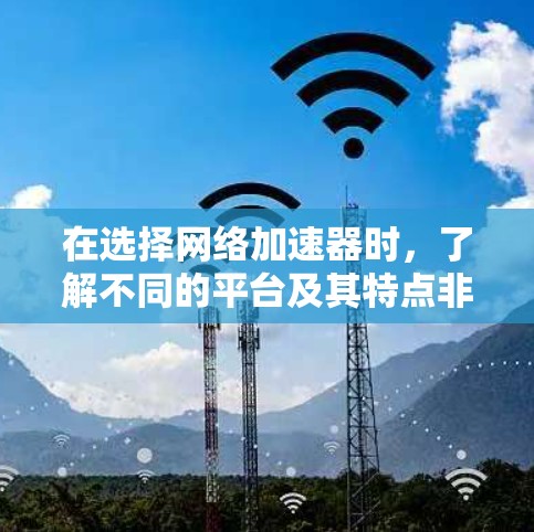 在选择网络加速器时，了解不同的平台及其特点非常重要。以下是一个详细的指南，帮助您找到适合自己的网络加速器