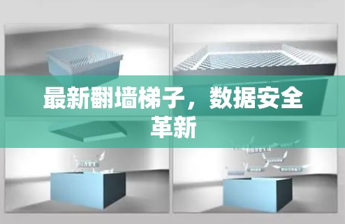 最新翻墙梯子，数据安全革新