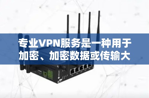 专业VPN服务是一种用于加密、加密数据或传输大文件的技术，通过在另一条理论上不接触原网络的路径将数据传输。专业VPN通常提供技术认证和安全措施，确保数据传输的可靠性、安全性以及隐私保护