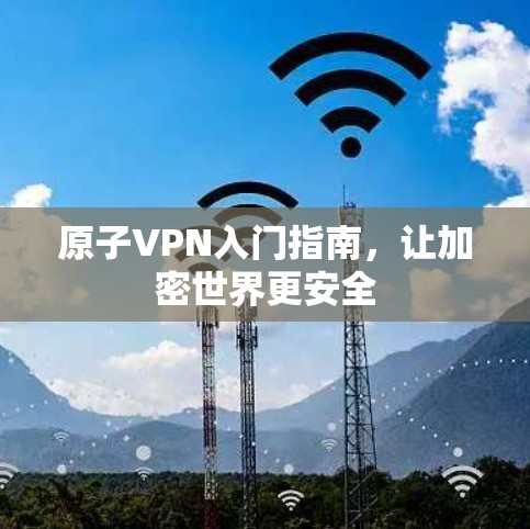 原子VPN入门指南，让加密世界更安全