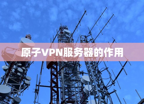 原子VPN服务器的作用