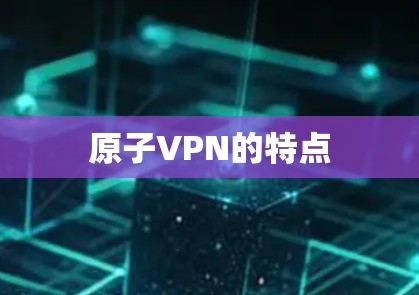 原子VPN的特点