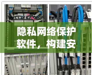 隐私网络保护软件，构建安全的数字生态系统