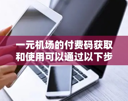 一元机场的付费码获取和使用可以通过以下步骤进行
