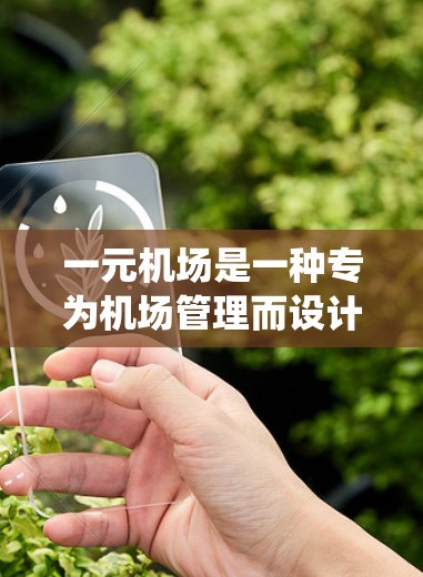 一元机场是一种专为机场管理而设计的系统，主要用于统一现金交易的处理、电子支付和账户管理等流程。以下是一元机场的使用场景和优势