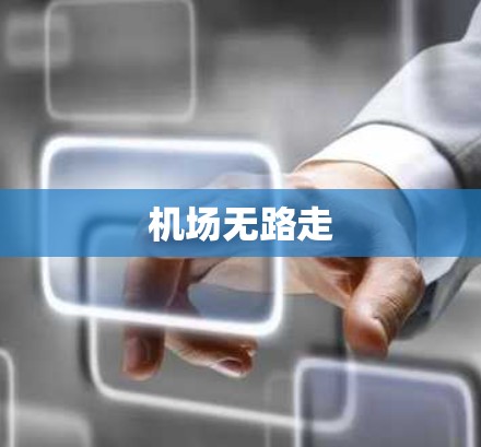 机场无路走