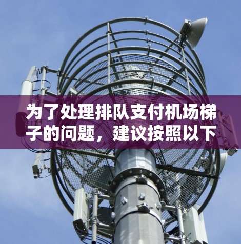 为了处理排队支付机场梯子的问题，建议按照以下步骤操作