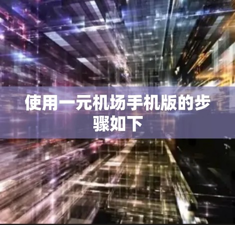 使用一元机场手机版的步骤如下