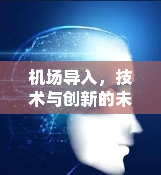 机场导入，技术与创新的未来之选
