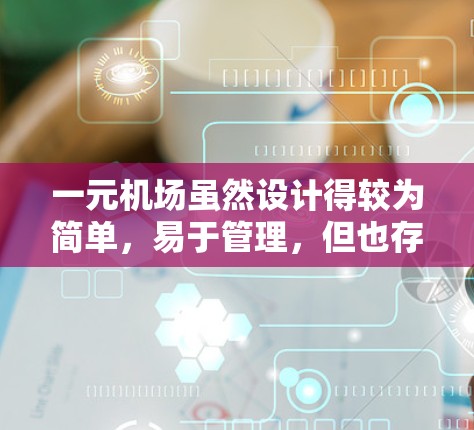 一元机场虽然设计得较为简单，易于管理，但也存在一些缺点，具体如下