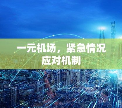 一元机场，紧急情况应对机制