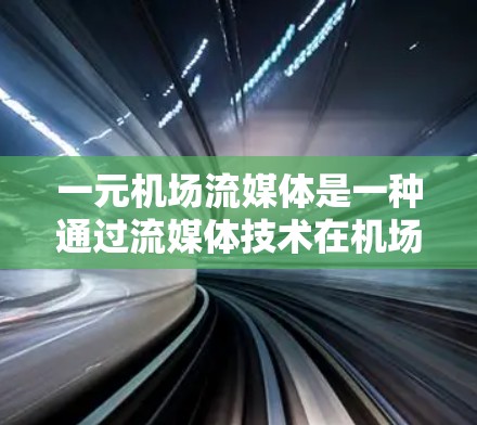 一元机场流媒体是一种通过流媒体技术在机场中快速、实时地传输广播内容至用户设备的服务，广泛应用于机场广播和新闻报道中。以下是对这一服务的详细分析