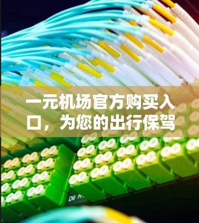 一元机场官方购买入口,为您的出行保驾护航 一元机场官方购买入口,为您的出行保驾护航