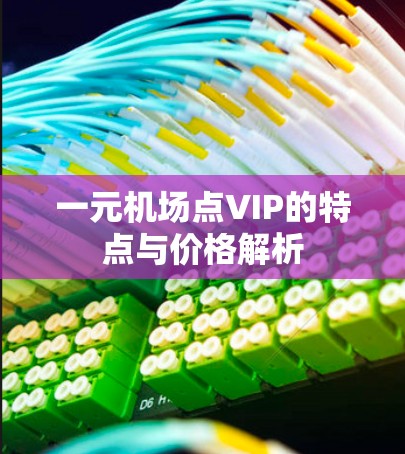 一元机场点VIP的特点与价格解析